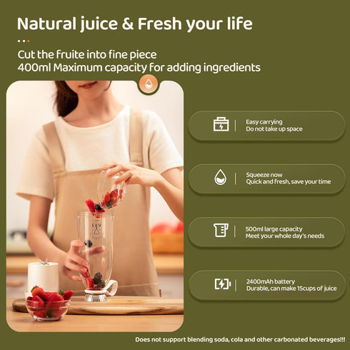 Mini Blender for Smoothies and Milkshakes, Portable, Rechargeable, 11 oz, Pink, with Travel Lid and 4 Blades