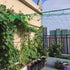 Yahpetes Garden Netting 1 Pcs Heavy Duty Climb Net 6'X6' for Plant Vine Support