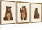 Lwoztra Nursery Wall Art Baby Canvas Pictures Bear Wall Decor Boys Room Prints