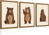Lwoztra Nursery Wall Art Baby Canvas Pictures Bear Wall Decor Boys Room Prints