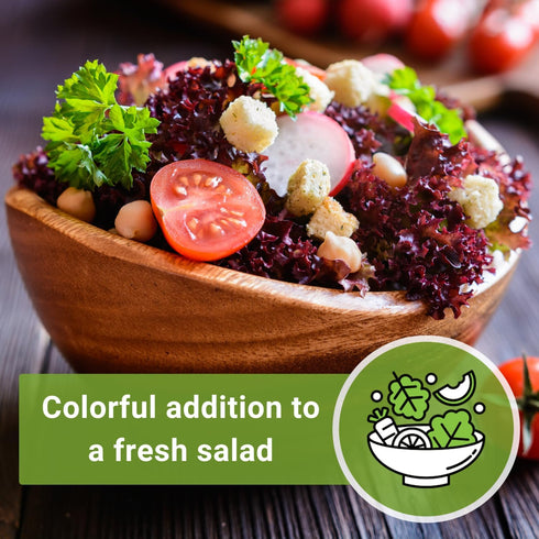 Packet (1) Sow Right Seeds - Lolla Rosa Lettuce Seed for Planting - Non-GMO Heirloom with Instructions to Plant a Home