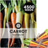 Carrot Rainbow Mix 4,500 Premium Heirloom Seeds for Planting Colorful, Sweet Root