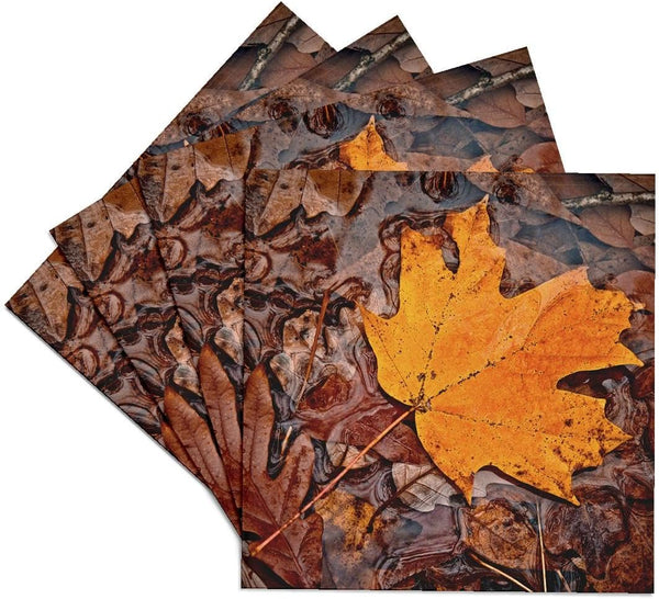 3dRose Autumn Leaf Ceramic Tile Coasters, Set of 4