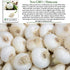 500+ Crystal White Wax Onion Seeds (Allium cepa) Non-GMO Heirloom Seeds by Islas Garden Seeds, Small Pearl-Style Onions
