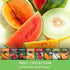 8 Pack Fruit Seeds for Planting - Variety | Watermelon, Cantaloupe, Melon, Strawberry, Ground Cherry for Home Vegetable