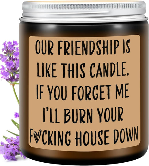 Homsolver Funny Scented Soy Candle Gifts - Premium Lavender Scent, Best Friend Birthday Christmas Gifts for Women