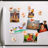 12 Pcs Glass Strong Animals Refrigerator Magnets, Decorative Magnets for Fridge Lovely Decor for Home Kitchen