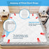2 Pcs Bed Sheet Straps, Elastic Adjustable Holder Straps with Metal Clips for Mattress Cover and Sofa Cushion