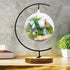 11 Inch Iron Pothook Stand for Hanging Glass Terrariums
