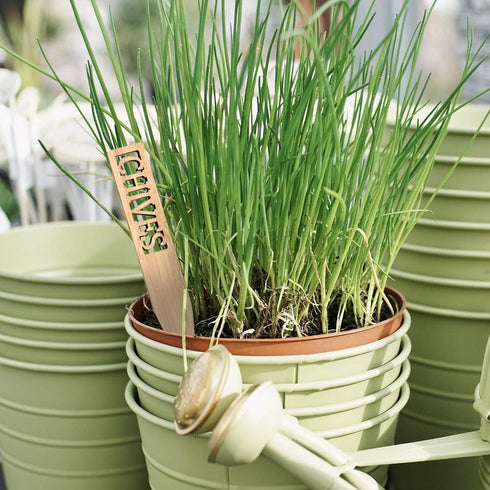 Set 12 Bamboo Herb Markers - of Beautiful Garden Labels - Sturdy Outdoor Garden or Potted Herb Markers