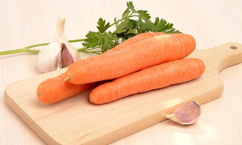 Sunutri Seeds Pack Root Vegetable Seeds Variety Carrot, Radish, Turnip & Parsnip Non-GMO Heirloom Garden Seeds