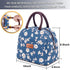 BALORAY Lunch Bag for Women Men, Insulated Lunch Box for Work, Picnic, Travel - Morning Glory