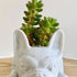 White Resin Dog Succulent Planter, Cute French Bulldog Shape Mini Puppy Air Plant Planter for Home Garden Decor