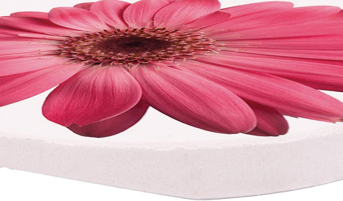 Pink Daisies 2.75 x 2.75 Absorbent Ceramic Car Coasters, Pack of 2