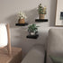 PopiShelves 6 Inch Set 3 Small Floating Shelves for Wall - Mini Square Black Shelves for Bedroom, Living Room