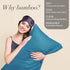 BEDELITE Queen Size Pillow Cases Set of 2, Cooling Rayon Derived from Bamboo, Silky Soft Envelope Pillowcases (Teal,