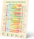 Seasonal Fruit & Vegetable Guide Fridge Magnet, Easy to Follow Calendar for Fresh Produce, Refrigerator Magnets