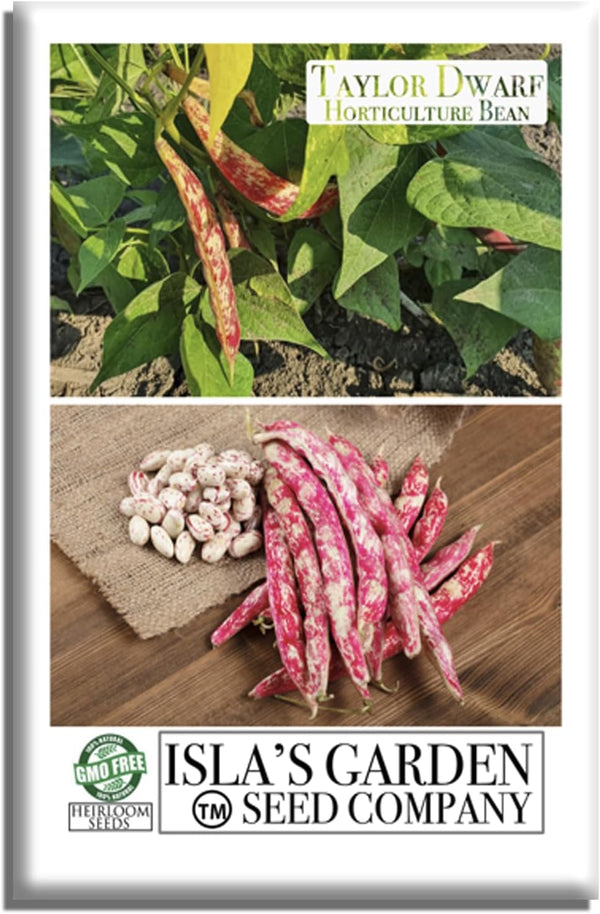 Taylor Dwarf Horticulture Bush Bean Seeds (Phaseolus vulgaris) 25+ Non-GMO Heirloom Cranberry