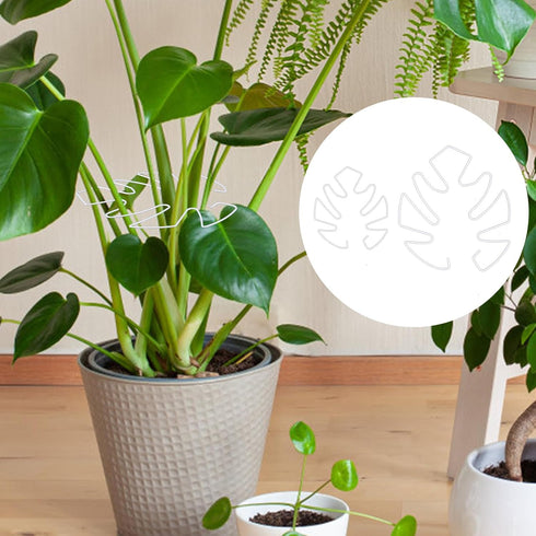 BOXOB 2pcs 2 Set Monstera Leaf Plant Support, Size Climbing Plant Stem Stand Hooks Ideal Monstera Stakes Grapple Pole