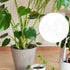 BOXOB 2pcs 2 Set Monstera Leaf Plant Support, Size Climbing Plant Stem Stand Hooks Ideal Monstera Stakes Grapple Pole