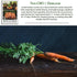 500+ 85% Scarlet Nantes Carrot Seeds for Planting Non-GMO & Heirloom Seeds, Botanical Name: Daucus carota, Germination