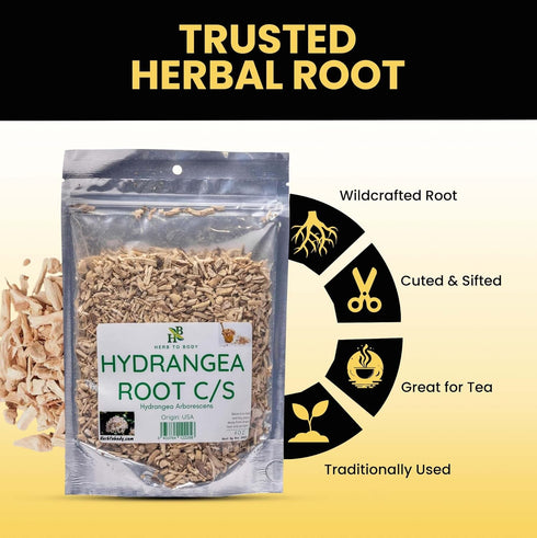 4 oz, Herb To Body Hydrangea Root Cut & Sifted - Wildcrafted Dried Hydrangeas for Herbal Tea, Hydrangea Root Tea