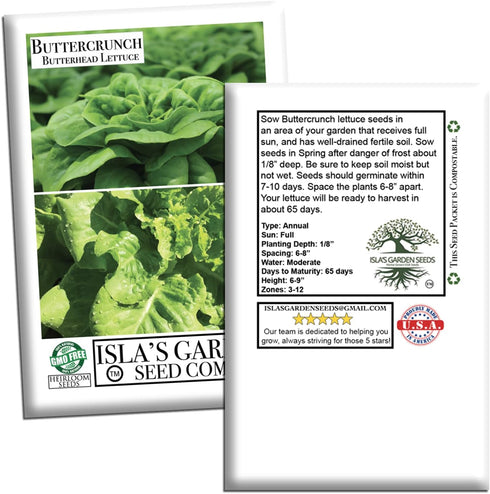 1000+ Buttercrunch Butterhead Lettuce Seeds for Planting Non-GMO & Heirloom Seeds, Botanical Name: Lactuca Sativa