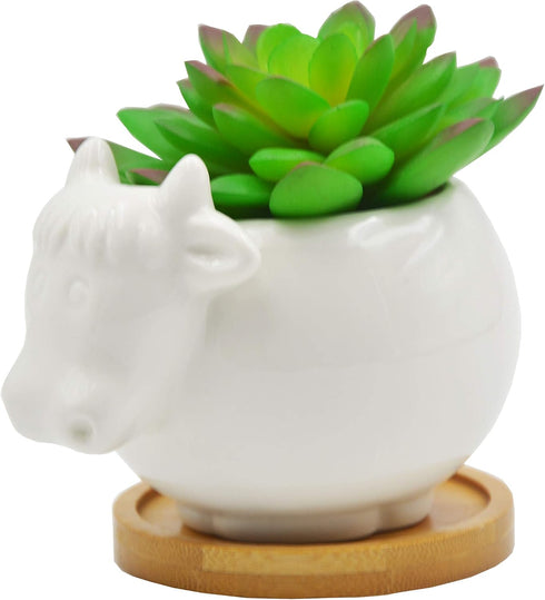 Cuteforyou Cute Cartoon Succulent Pots, Ceramic Cactus Flower Pot, Desk Accessories, Makeup Brush Storage (White Cow)
