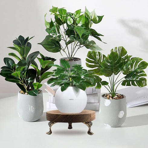 QoTang 3 8/6/4 Inch) PCS Wooden Display Riser for Display Wood Risers for Decor and Organizer Round Display Stand
