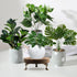 QoTang 3 8/6/4 Inch) PCS Wooden Display Riser for Display Wood Risers for Decor and Organizer Round Display Stand