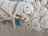 Tumbler Home White Sand Dollars, 10pcs, 3"-3.5" - Wedding Seashell Craft Sandollars
