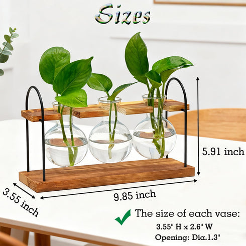 Wellinc Bulbs, Plant Terrarium with Wooden Stand, The Ultimate Gift for Plant Lovers, Propagation Station with Retro