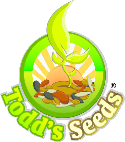 5 Todd's Seeds Sprouting Seeds Mung Bean, Chinese Bean Sprouts, Pounds