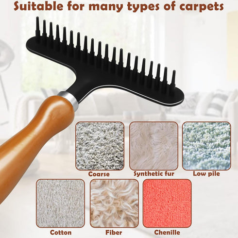 Hand Held Carpet Rake for Matted Carpet, Portable Shag Rug Rake, 6.0 x 4.3 inches, Black