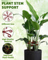 Aecsze 4 PCS Plant Stem Support, Climbing House Plant Stem Support, Plant Supports for Indoor Plants, Reusable
