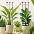 32in 2p Large Indoor Plant Trellis for Climbing Plants, Expandable Metal Garden Trellis for Potted Plants, Tall Plant