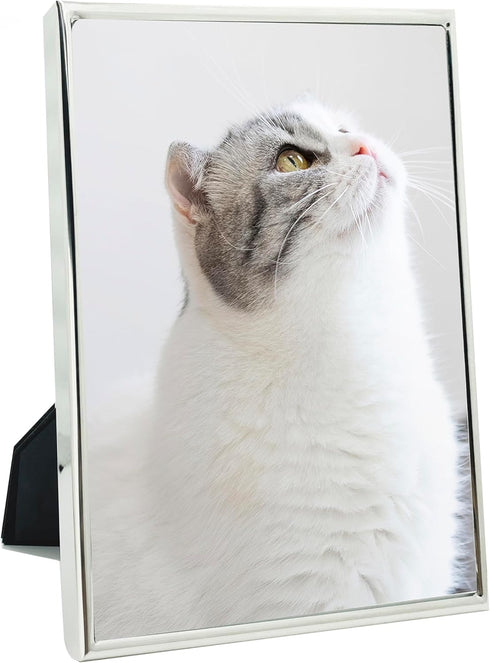 DECANIT 3.5x5 Metal Picture Frame, Thin Profile Photo Frame for Wall or Tabletop, Silver