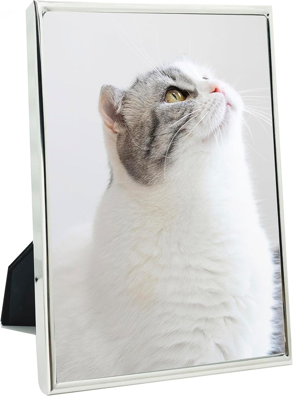 DECANIT 3.5x5 Metal Picture Frame, Thin Profile Photo Frame for Wall or Tabletop, Silver