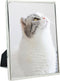 DECANIT 3.5x5 Metal Picture Frame, Thin Profile Photo Frame for Wall or Tabletop, Silver