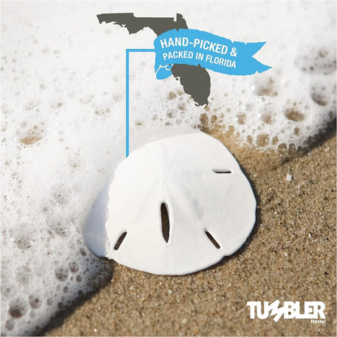 3" 3.5" Set 15 Packed Tumbler Home White Sand Dollars to of - Wedding Seashell Craft Sand Dollars- Hand Picked