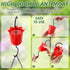 Dunkive Halves(Black,1 Pack) Baltimore Oriole Bird Feeder for Outdoors Oriole Feeder with Ant Moat & Glass Bowl & Ant