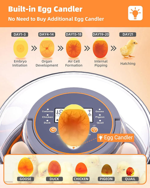 Somferic 12 Cozy Incubators for Hatching Eggs, Chicken Incubator with Automatic Egg Turning and Humidity Control, Baby