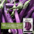 Packet (4) Sow Right Seeds - Long Purple Eggplant Seeds for Planting - Non-GMO Heirloom with Instructions to Plant an