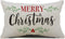 DFXSZ Merry Christmas Pillow Covers, Holly Berries Lumbar Pillowcase 12x20 Inch for Home Decoration