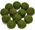 BYHER Handmade Natural Green Moss Decorative Ball, Set of 6 (3.5")