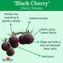 30 Burpee 'Black Cherry' Tomato, Purple Cherry Tomato, Sweet Rich Flavor, Non-GMO Seeds