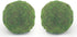 Nice purchase Handmade Natural Green Plant Moss Balls for Home Party Display Decor Props (6 in)