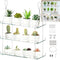 Tlence 3-Tier Hanging Clear Plant Shelves, Acrylic Window Flower Display Shelf, Height