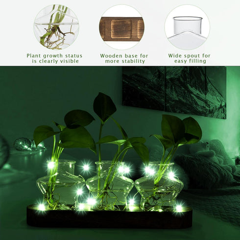 Lovers,3 XXXFLOWER Plant Propagation Station with Wooden Stand,Air Plant Terrarium Starter Kits Star Vases for Flowers