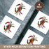 3dRose cst_193242_3 Maryland Crab Flag Ceramic Tile Coasters, Set of 4